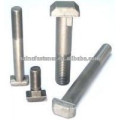 stainless steel 316 T bolt